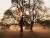 arbre et arbre et arbre et arbre et arbre