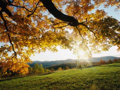 automne et automne et automne et automne