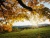 automne et automne et automne et automne